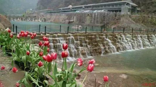 孩子荨麻疹太遭罪，妈妈们做好这5件事，帮助孩子摆脱荨麻疹